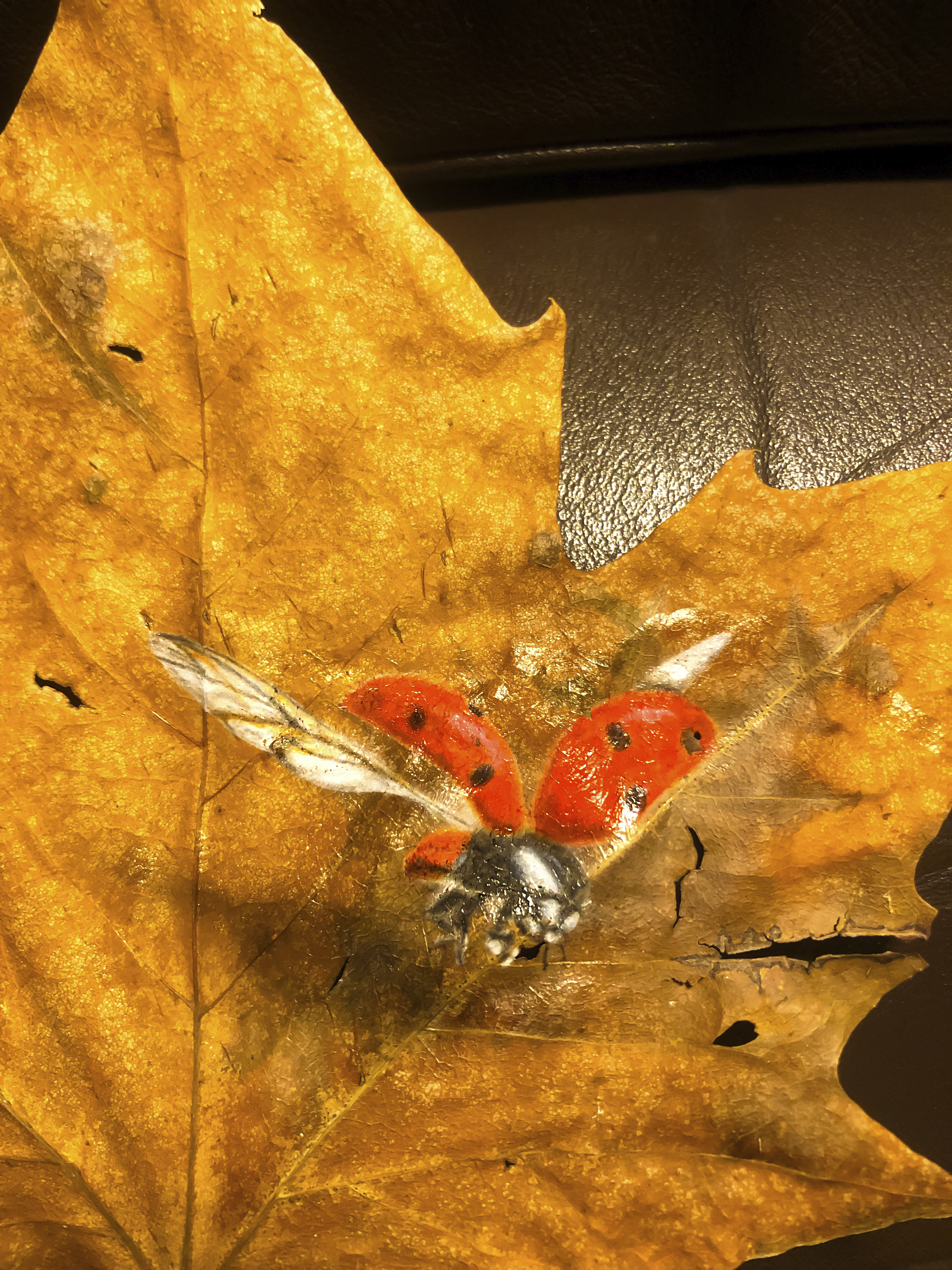 peinture sur feuille arbre, coccinelle peinture sur feuille platane, aérographe, coccinelle qui s'envole,trompe l'oeil #decorshd