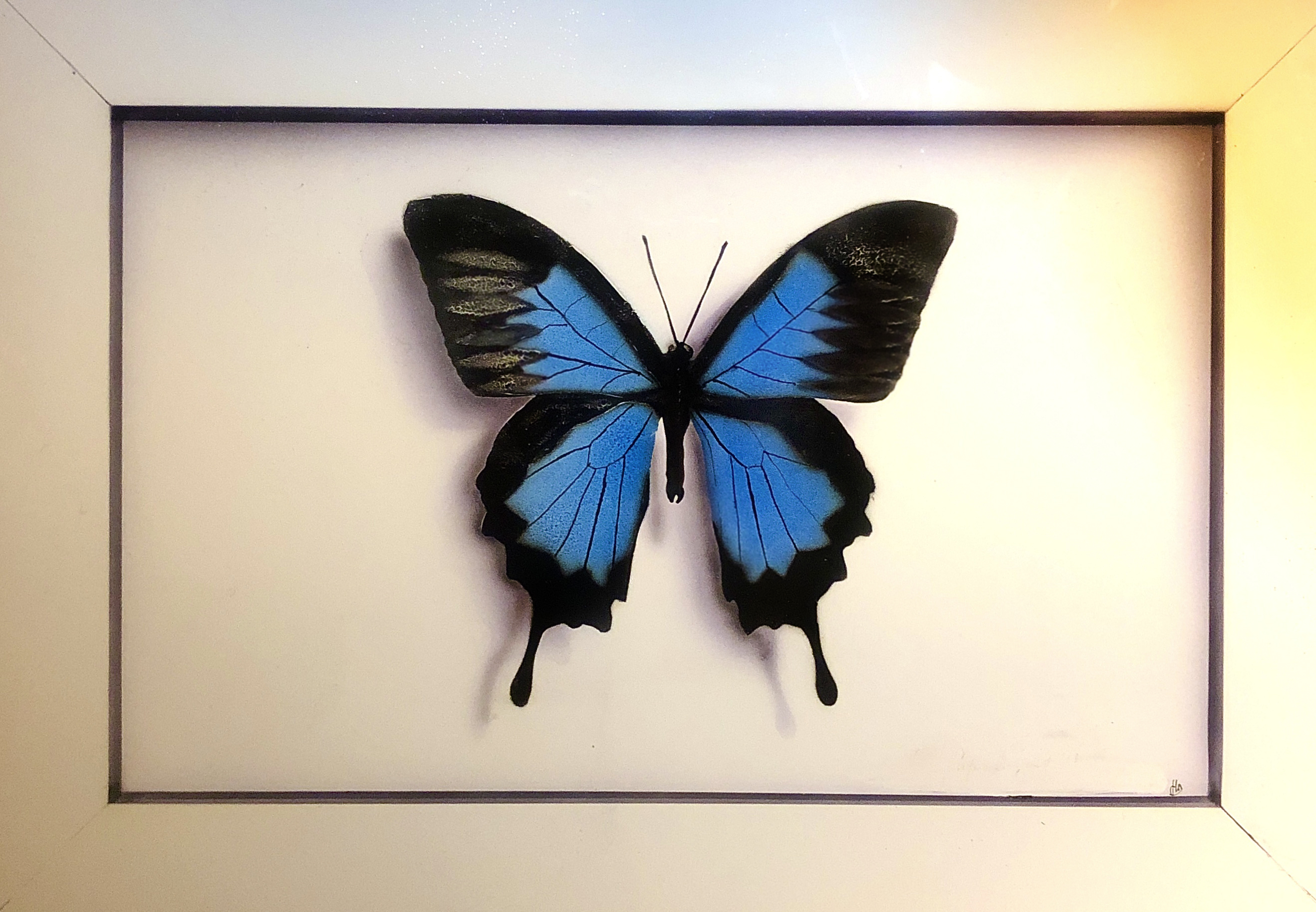 peinture sur plaque aluminium papillon Monarque peinture sur plaque aluminium, trompe l'oeil aérographe, papillon Monarque #decorshd