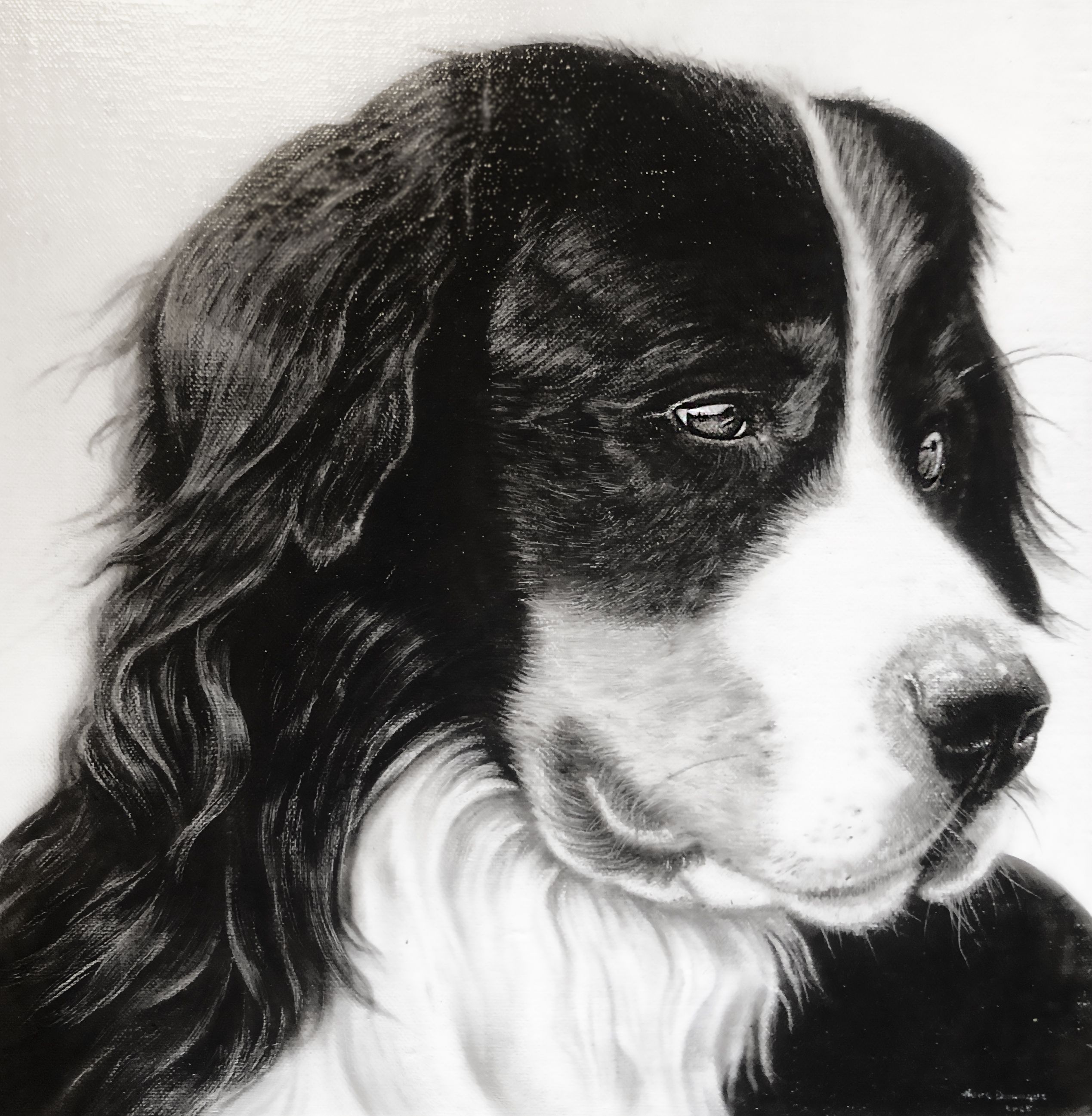 peinture sur toile, animaux chien peinture sur toile, aérographe, portrait chien, Marley, noir et blanc #decorshd